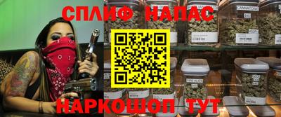 ешки Моздок