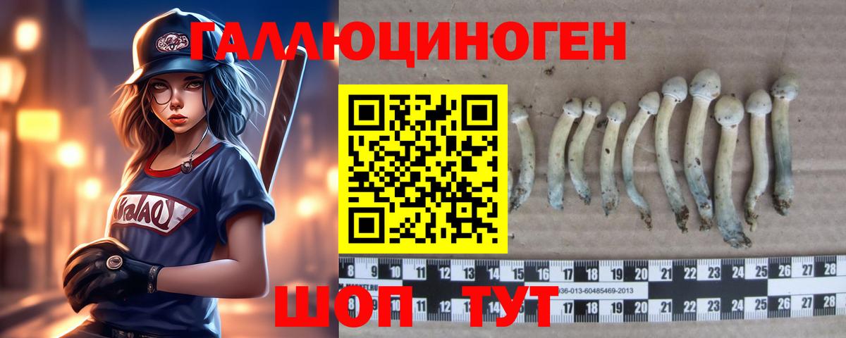 Псилоцибиновые грибы GOLDEN TEACHER  где купить   Псилоцибиновые грибы MAGIC MUSHROOMS  Шелехов  Вход с VPN 
