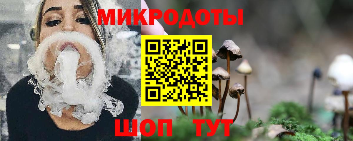 Псилоцибиновые грибы Psilocybine cubensis Шелехов